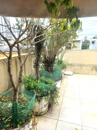 Imagem Casa com 3 Quartos para Alugar, 184 m² em Vila Leopoldina - São Paulo