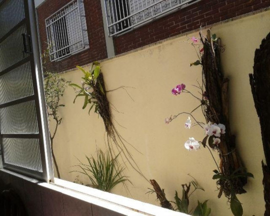 Imagem Sobrado com 4 Quartos à Venda, 294 m² em Jardim Da Glória - São Paulo Imagem Sobrado com 4 Quartos à Venda, 294 m² em Jardim Da Glória - São Paulo