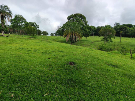 Imagem Chácara à Venda, 4 m² em Zona Rural - Anicuns Imagem Chácara à Venda, 4 m² em Zona Rural - Anicuns