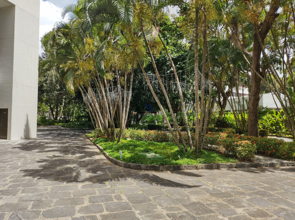 Imagem Apartamento com 4 Quartos para Alugar, 234 m² em Monteiro - Recife