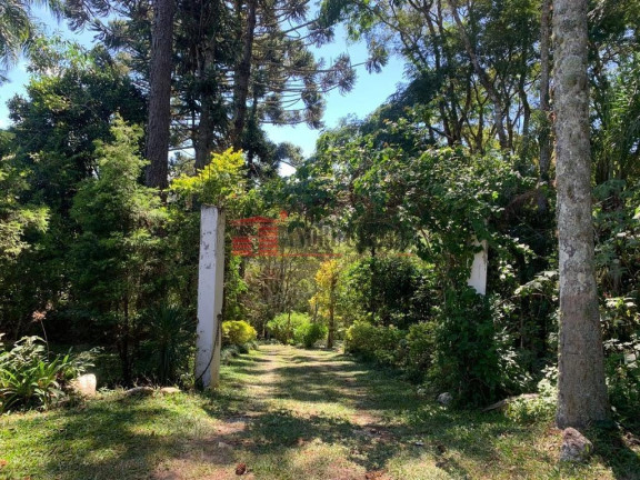 Imagem Imóvel com 3 Quartos à Venda, 340 m² em Cachoeira - Cotia Imagem Imóvel com 3 Quartos à Venda, 340 m² em Cachoeira - Cotia