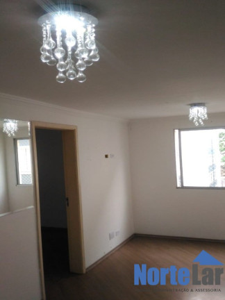 Imagem Apartamento com 2 Quartos à Venda, 43 m² em Vila Regina - São Paulo Imagem Apartamento com 2 Quartos à Venda, 43 m² em Vila Regina - São Paulo