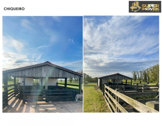 Imagem Imóvel com 3 Quartos à Venda, 25.000.000 m² em Prado - Santana Do Livramento