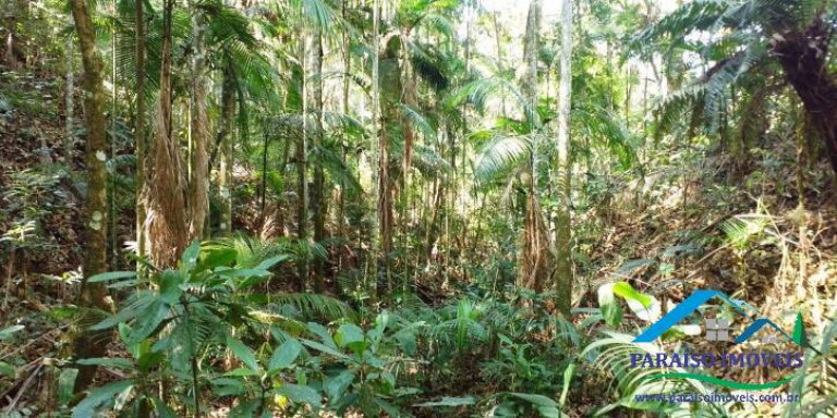 Imagem Chácara à Venda, 155 m² em Centro - Paraisópolis Imagem Chácara à Venda, 155 m² em Centro - Paraisópolis