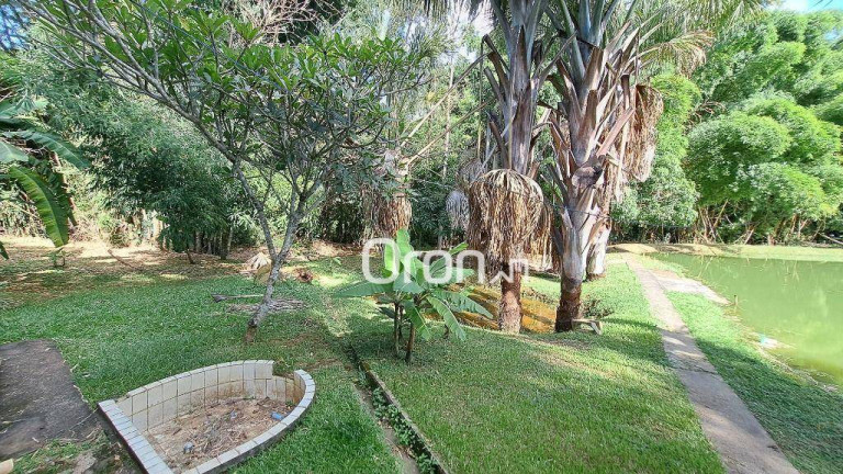 Imagem Chácara com 4 Quartos à Venda, 46.000 m² em Trindade - Trindade Imagem Chácara com 4 Quartos à Venda, 46.000 m² em Trindade - Trindade