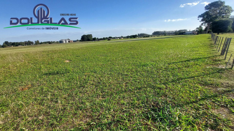 Imagem Chácara com 3 Quartos à Venda, 20.000 m² em águas Claras - Viamão