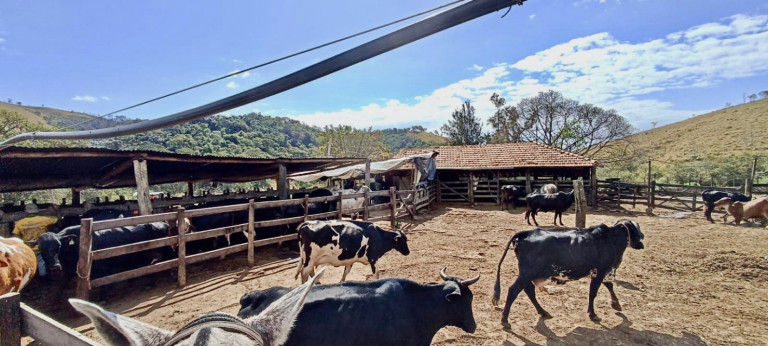 Imagem Fazenda à Venda, 100 m² em Centro - Silveiras Imagem Fazenda à Venda, 100 m² em Centro - Silveiras