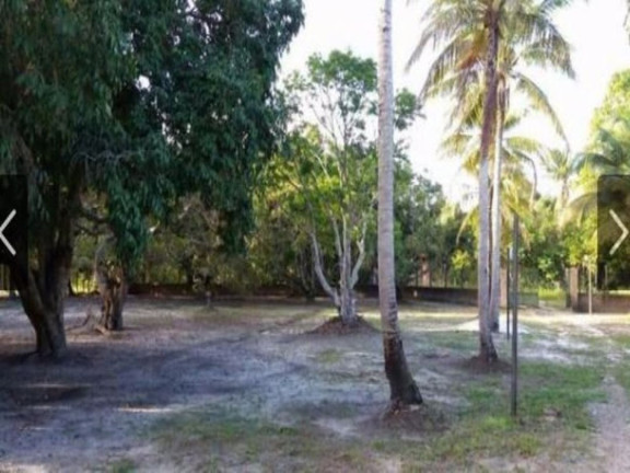 Imagem Chácara com 3 Quartos à Venda, 6.490 m² em Abrantes - Camaçari Imagem Chácara com 3 Quartos à Venda, 6.490 m² em Abrantes - Camaçari
