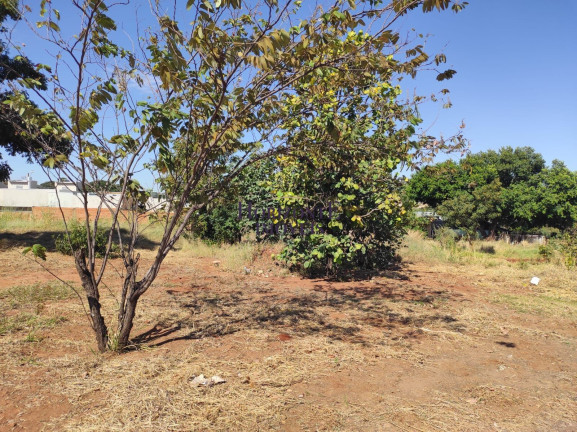 Imagem Terreno à Venda, 360 m² em Jardim Mansur - Campo Grande Imagem Terreno à Venda, 360 m² em Jardim Mansur - Campo Grande