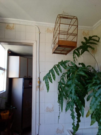 Imagem Apartamento com 2 Quartos à Venda, 55 m² em Conjunto Residencial José Bonifácio - São Paulo Imagem Apartamento com 2 Quartos à Venda, 55 m² em Conjunto Residencial José Bonifácio - São Paulo