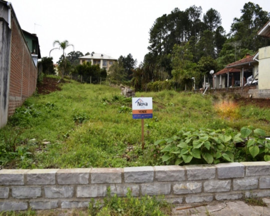 Imagem Imóvel à Venda, 984 m² em Logradouro - Nova Petrópolis Imagem Imóvel à Venda, 984 m² em Logradouro - Nova Petrópolis
