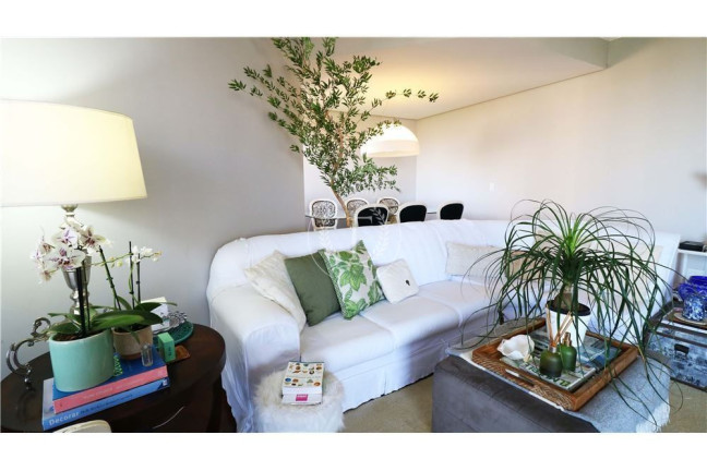 Imagem Apartamento com 5 Quartos à Venda, 170 m² em Vila Suzana - São Paulo Imagem Apartamento com 5 Quartos à Venda, 170 m² em Vila Suzana - São Paulo