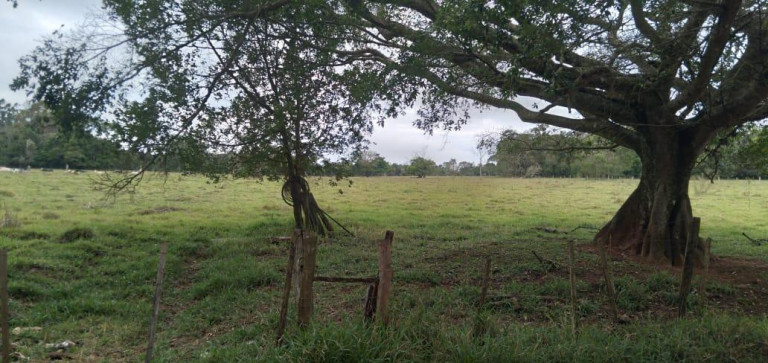 Imagem Chácara à Venda, 9 m² em Area Rural De Avaré - Avaré Imagem Chácara à Venda, 9 m² em Area Rural De Avaré - Avaré