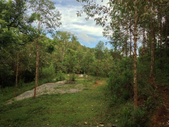 Imagem Terreno à Venda, 80 m² em Santa Felicidade - Curitiba