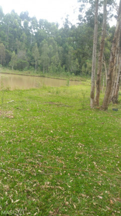 Imagem Chácara à Venda, 80.000 m² em Serra Grande Alemã - Gramado Imagem Chácara à Venda, 80.000 m² em Serra Grande Alemã - Gramado