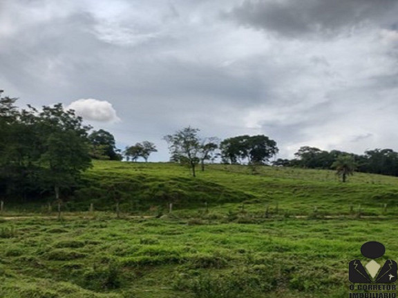 Imagem Imóvel à Venda, 21.900 m² em Fazendinhas Pedro Leopoldo Mg - Pedro Leopoldo Imagem Imóvel à Venda, 21.900 m² em Fazendinhas Pedro Leopoldo Mg - Pedro Leopoldo