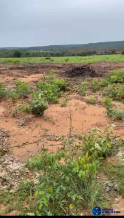 Imagem Fazenda à Venda, 142 m² em Zona Rural - Bom Jardim De Goiás Imagem Fazenda à Venda, 142 m² em Zona Rural - Bom Jardim De Goiás