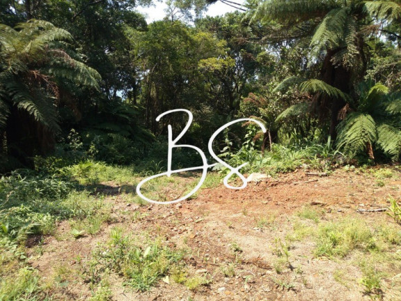 Imagem Imóvel à Venda, 1.000 m² em Serra Grande - Igrejinha Imagem Imóvel à Venda, 1.000 m² em Serra Grande - Igrejinha