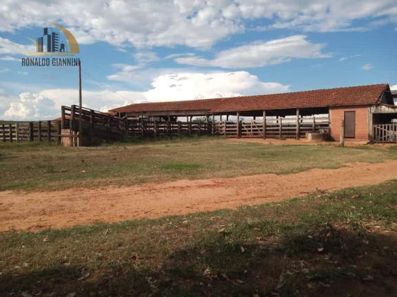 Imagem Fazenda à Venda, 15.294.400 m² em Centro - Assis