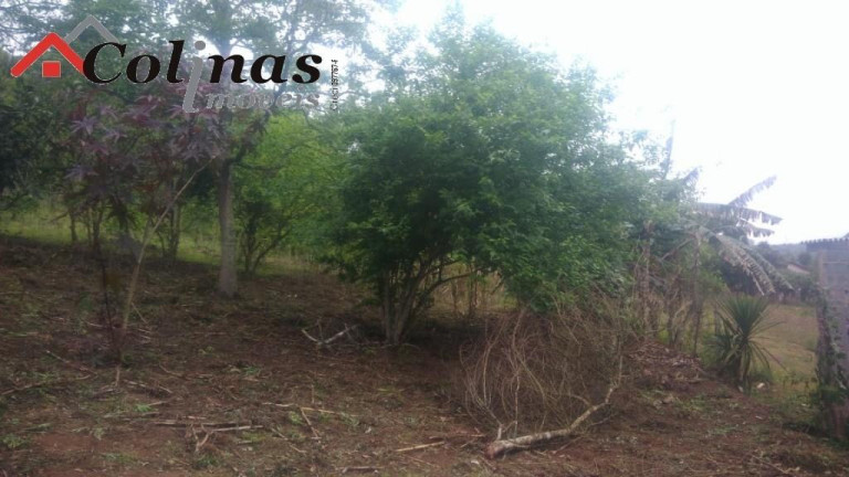Imagem Imóvel com 3 Quartos à Venda, em Depois Do Centro - Ibiúna Imagem Imóvel com 3 Quartos à Venda, em Depois Do Centro - Ibiúna