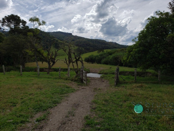 Imagem Imóvel à Venda, em Interior - Bom Retiro Imagem Imóvel à Venda, em Interior - Bom Retiro