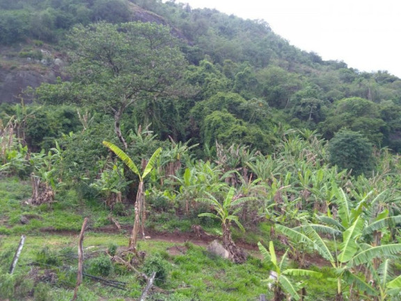 Imagem Imóvel à Venda, 200 m² em Lambari - Gonçalves Imagem Imóvel à Venda, 200 m² em Lambari - Gonçalves