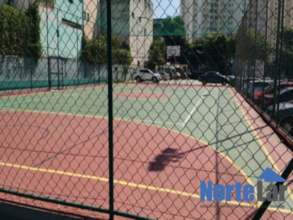 Imagem Apartamento com 3 Quartos à Venda, 64 m² em Vila Nova Cachoeirinha - São Paulo Imagem Apartamento com 3 Quartos à Venda, 64 m² em Vila Nova Cachoeirinha - São Paulo