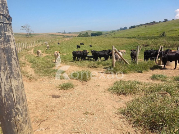 Imagem Fazenda à Venda, 150 m² em Marambaia - Caçapava Imagem Fazenda à Venda, 150 m² em Marambaia - Caçapava
