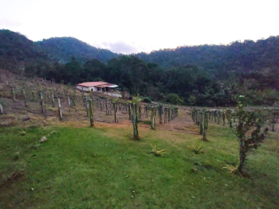 Imagem Chácara à Venda, 5 m² em Paca Tatu - Itariri Imagem Chácara à Venda, 5 m² em Paca Tatu - Itariri