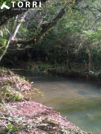 Imagem Imóvel com 4 Quartos à Venda, 11 m² em Monjolada - Guapiara Imagem Imóvel com 4 Quartos à Venda, 11 m² em Monjolada - Guapiara