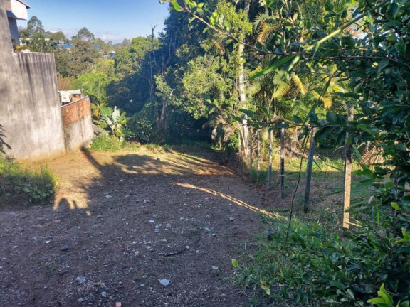 Imagem Terreno à Venda, 500 m² em Vila Suissa - Mogi Das Cruzes Imagem Terreno à Venda, 500 m² em Vila Suissa - Mogi Das Cruzes