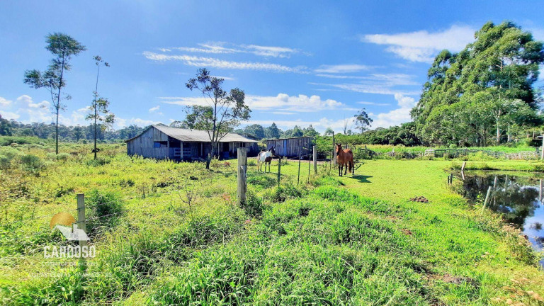 Imagem Fazenda à Venda, 23.000 m² em águas Claras - Viamão Imagem Fazenda à Venda, 23.000 m² em águas Claras - Viamão