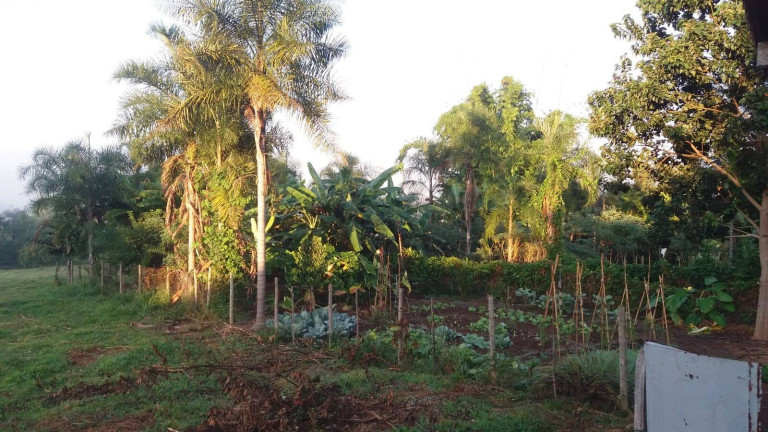 Imagem Chácara com 1 Quarto à Venda, 2 m² em Zona Rural - Bela Vista De Goiás