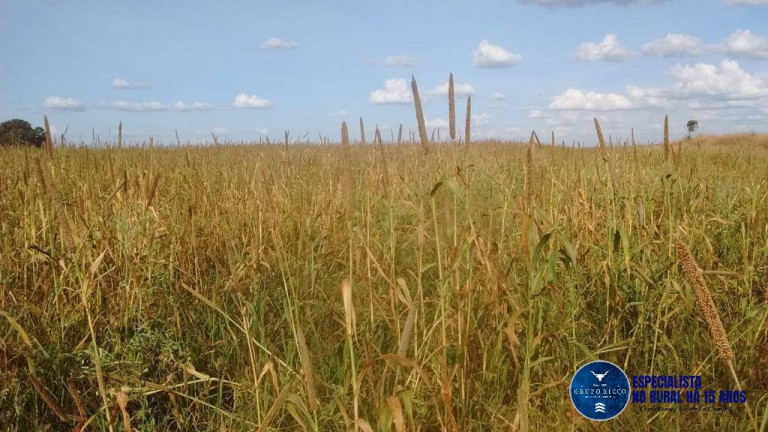 Imagem Fazenda à Venda, 433 m² em Zona Rural - Doverlândia Imagem Fazenda à Venda, 433 m² em Zona Rural - Doverlândia