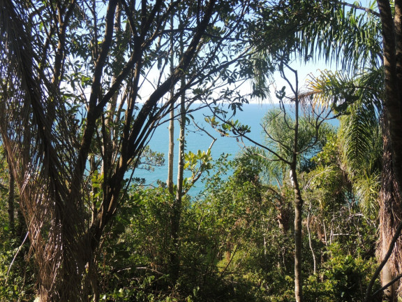 Imagem Terreno à Venda, 16.948 m² em Praia Da Ferrugem - Garopaba