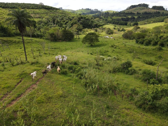 Imagem Fazenda à Venda, 4.300.000 m² em Zona Rural - Poços De Caldas Imagem Fazenda à Venda, 4.300.000 m² em Zona Rural - Poços De Caldas