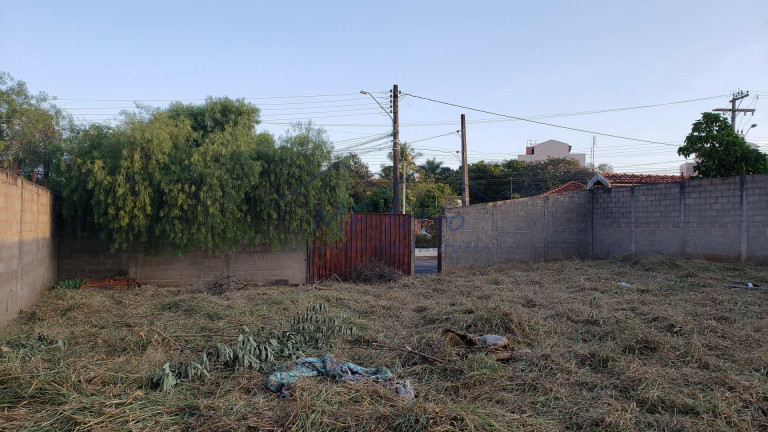 Imagem Terreno à Venda, 650 m² em Vila São Guido - Pirassununga