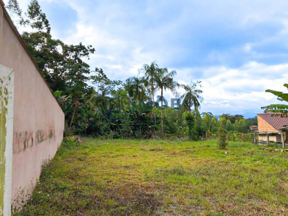 Terreno à Venda, 632 m² em Ilha Da Figueira - Jaraguá Do Sul