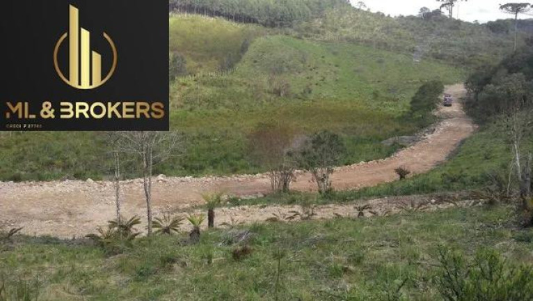 Imóvel à Venda, 46.000 m² em Papanduva - São José Dos Pinhais