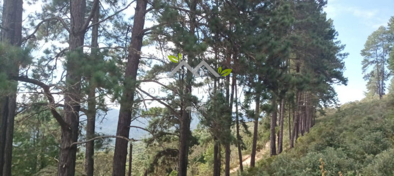 Imagem Terreno à Venda, 5 m² em Cidade Do Sol Ii - Campos Do Jordão Imagem Terreno à Venda, 5 m² em Cidade Do Sol Ii - Campos Do Jordão