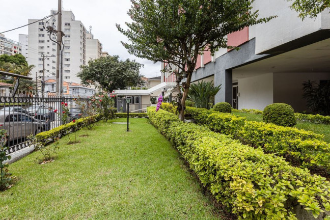 Imagem Imóvel com 3 Quartos à Venda,  em Vila Monumento - São Paulo