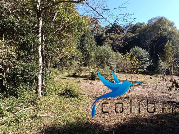 Imagem Chácara com 2 Quartos à Venda, 6.000 m² em Palmital - Agudos Do Sul Imagem Chácara com 2 Quartos à Venda, 6.000 m² em Palmital - Agudos Do Sul