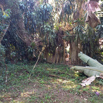 Imagem Imóvel com 6 Quartos à Venda, 54 m² em Bairro Oasis Paulista - Rio Grande Da Serra
