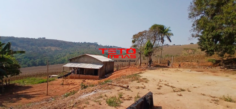 Imagem Imóvel com 4 Quartos à Venda,  em Zona Rural - Conceição Do Rio Verde