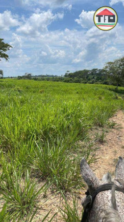 Imagem Fazenda à Venda, 1.645.600 m² em Zona Rural - Eldorado Do Carajás Imagem Fazenda à Venda, 1.645.600 m² em Zona Rural - Eldorado Do Carajás