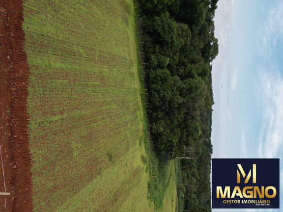 Imagem Chácara à Venda, 2 m² em Zona Rural - Cascavel Imagem Chácara à Venda, 2 m² em Zona Rural - Cascavel