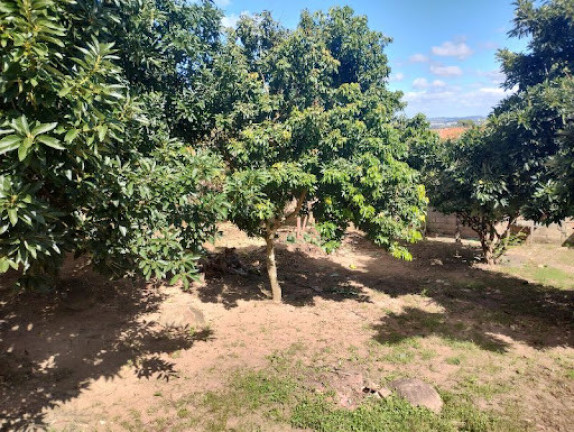 Imagem Casa com 4 Quartos à Venda, 461 m² em Morada Da Lua - Vinhedo