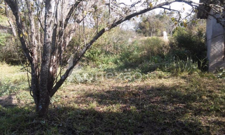 Imagem Chácara com 3 Quartos à Venda, 200 m² em Porto - Paraibuna Imagem Chácara com 3 Quartos à Venda, 200 m² em Porto - Paraibuna