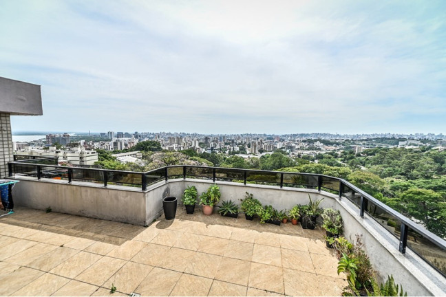Imagem Cobertura com 3 Quartos à Venda, 207 m² em Santa Tereza - Porto Alegre Imagem Cobertura com 3 Quartos à Venda, 207 m² em Santa Tereza - Porto Alegre
