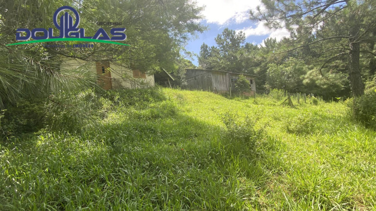 Imagem Terreno à Venda, 5.000 m² em Viamão